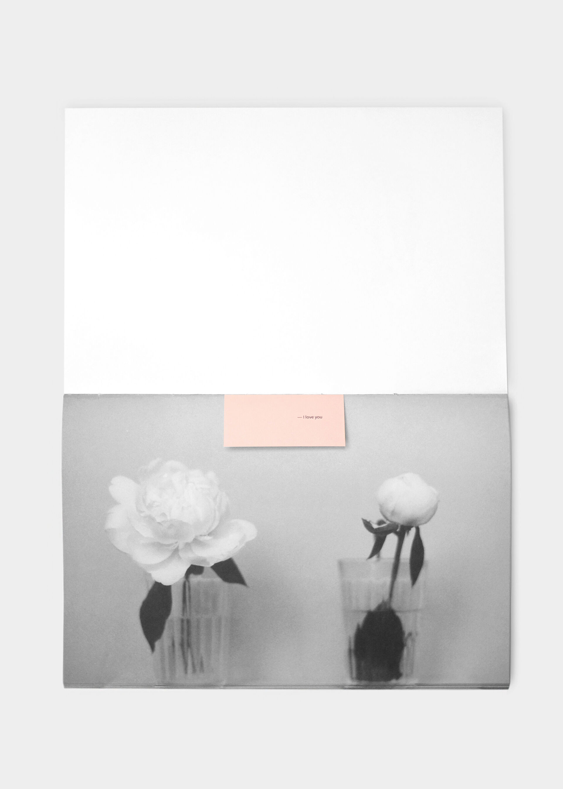 Katya Lesiv I Love you