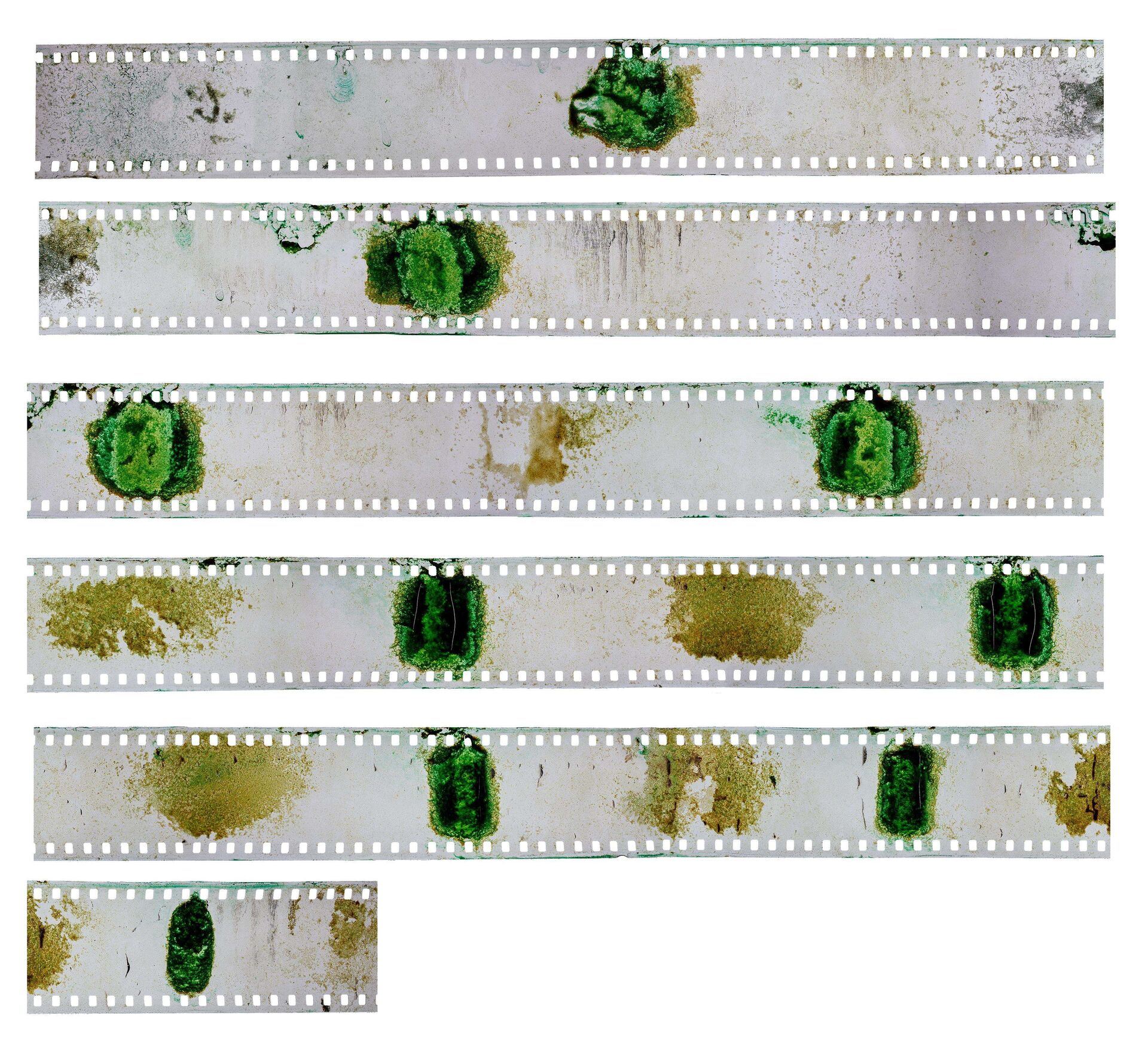 Risk Hazekamp Filmstrip Contactsh