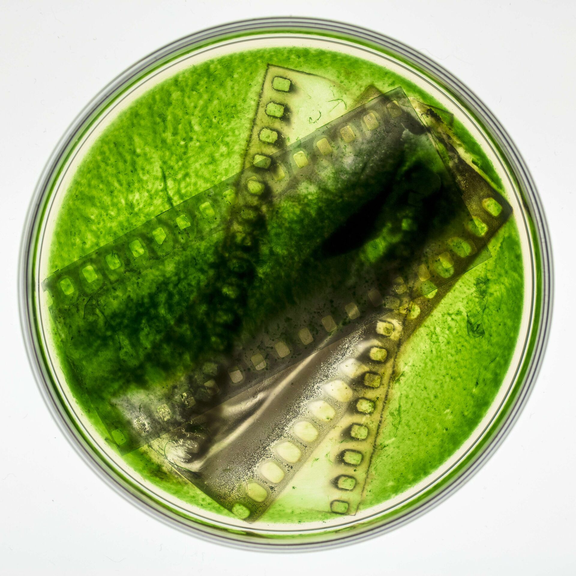 09 Risk Hazekamp Experiment 2022