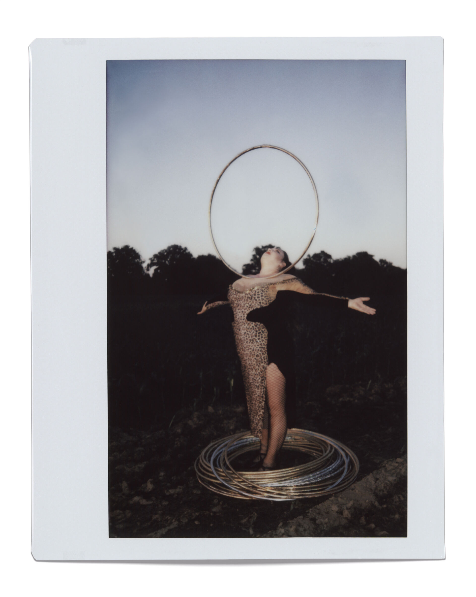 WG 32 viktoria lappidus