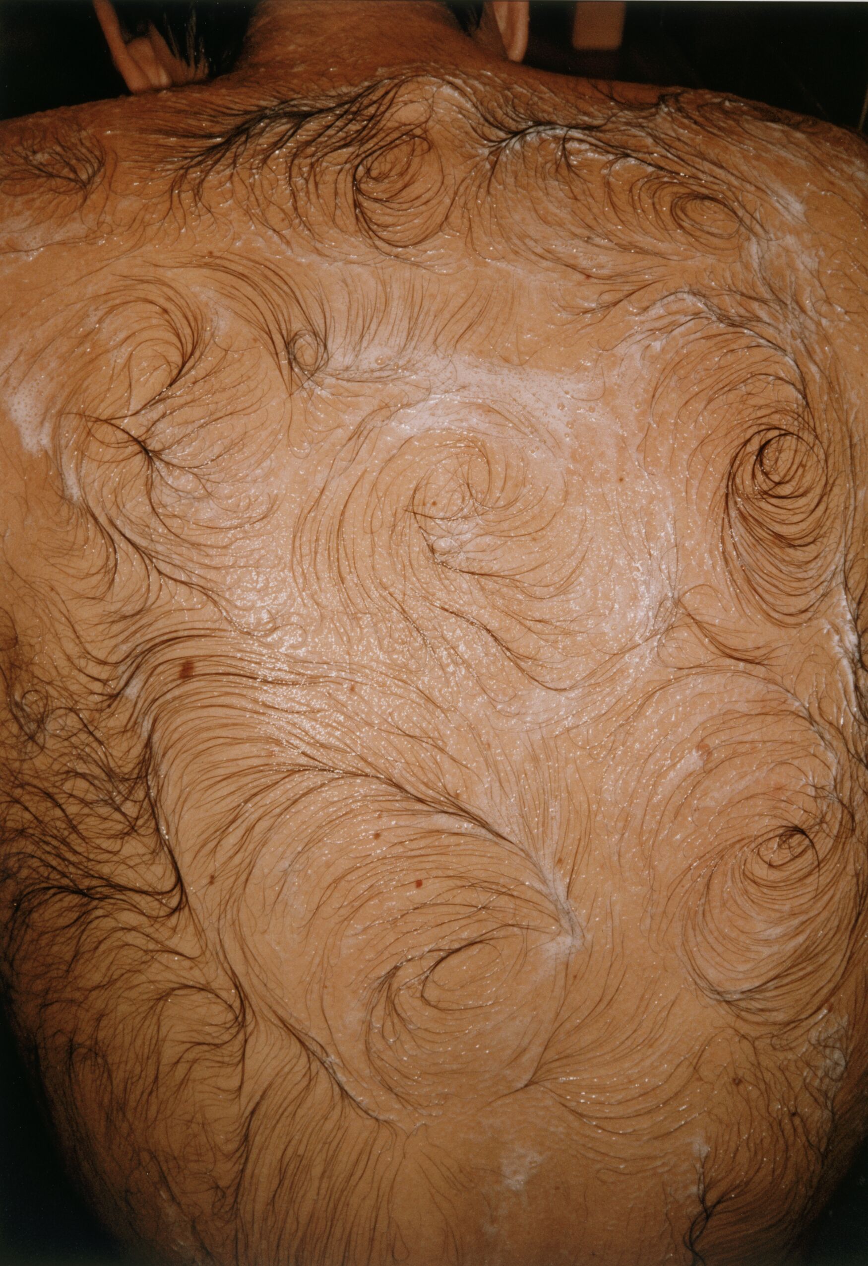 Mona Hatoum Van Goghs Back 1995 a3 tif 1 tif 2 tif 3