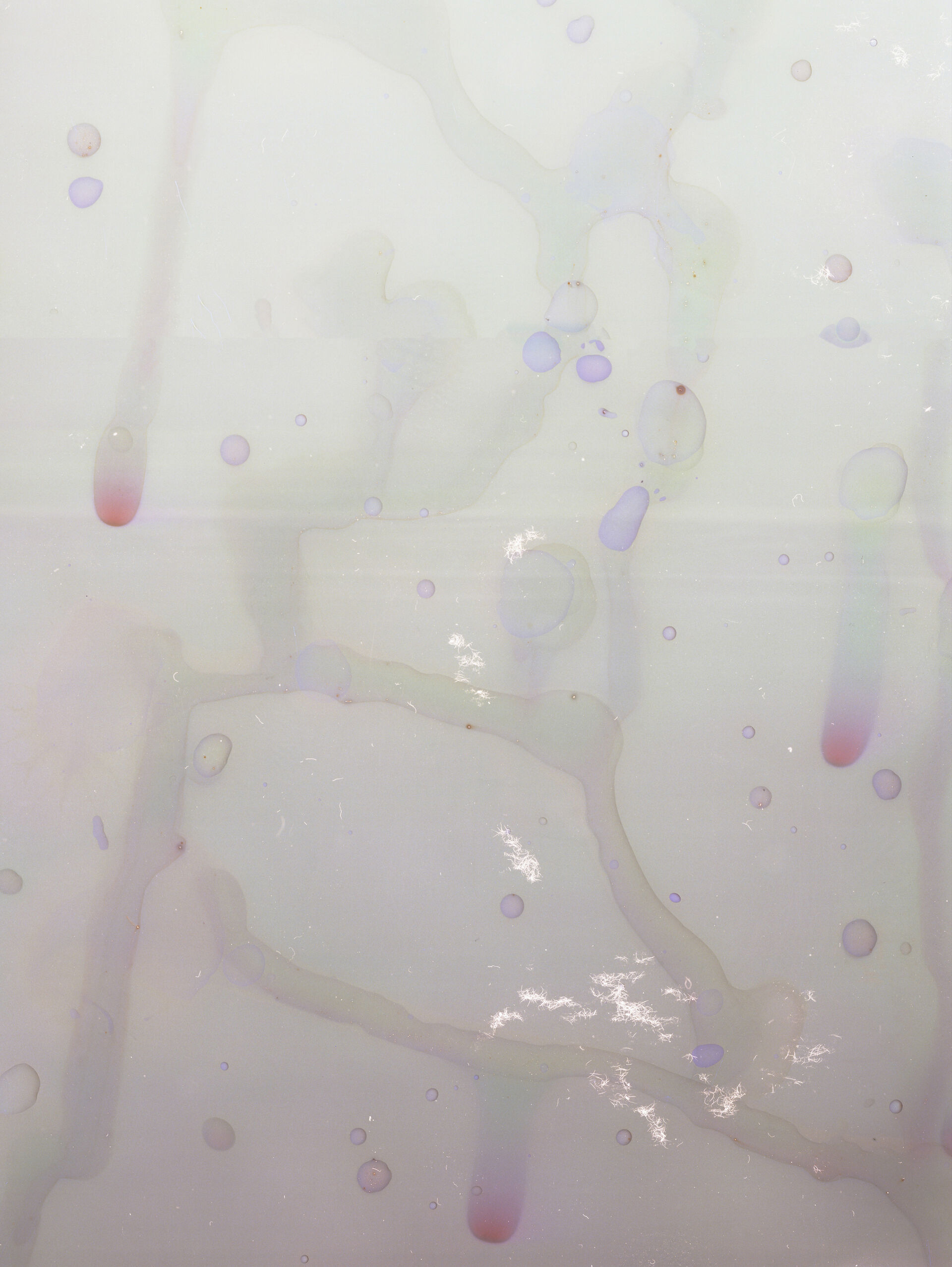 Dries Segers Responding rain white 37x50cm Lambda color C print