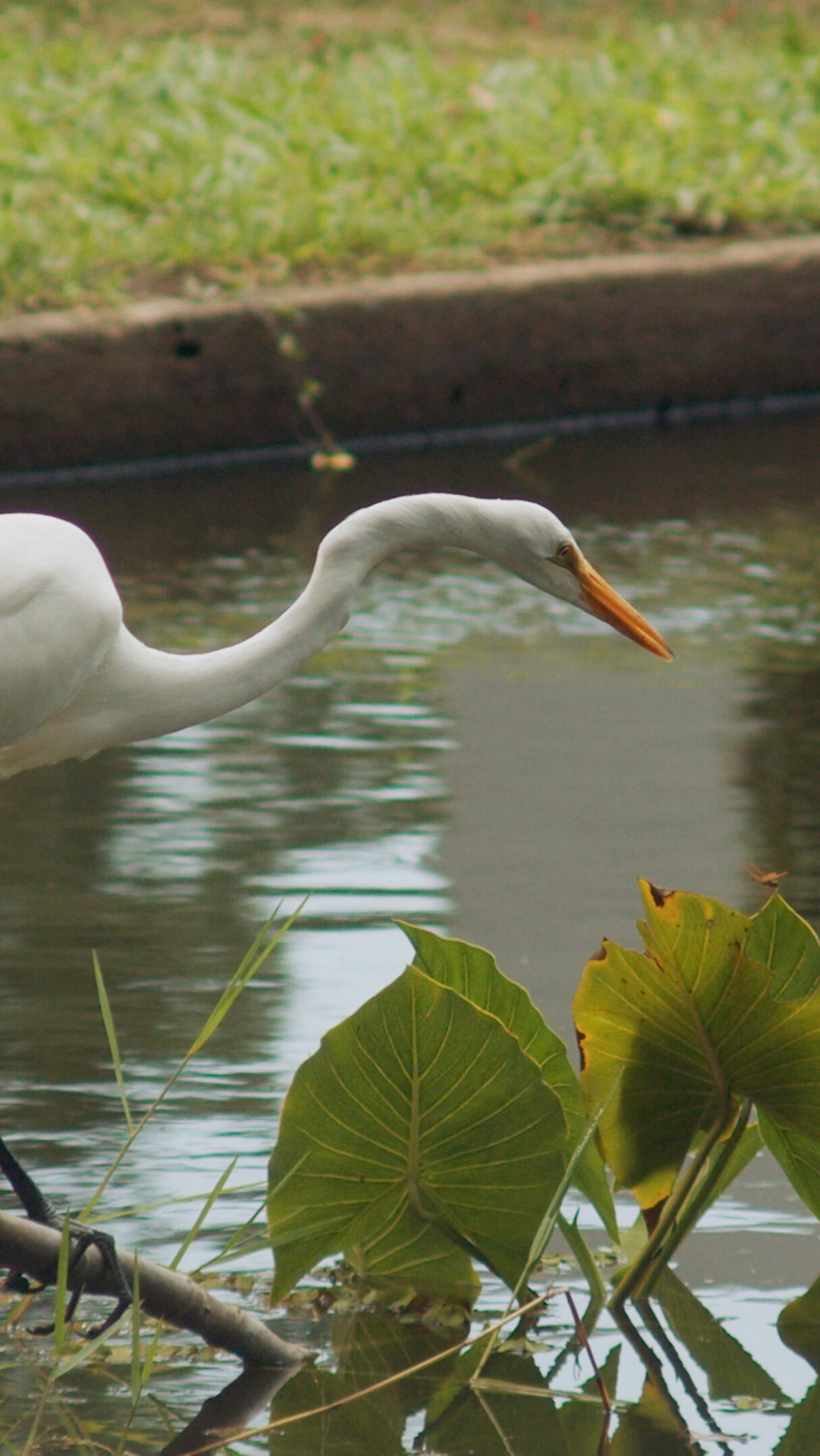 Olho da Rua Jd A S Vertical Photo4