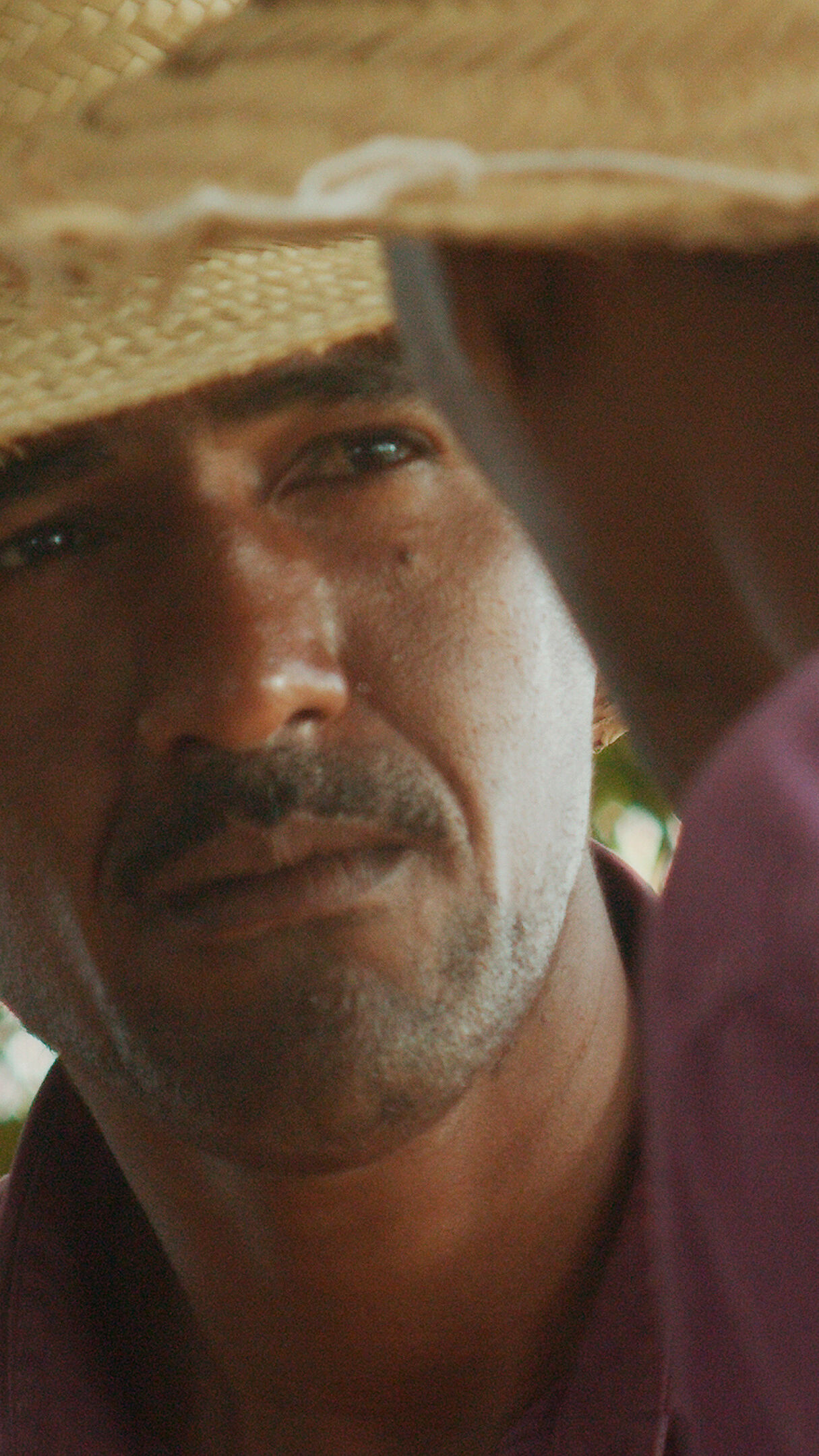 Olho da Rua Jd A S Vertical Photo3