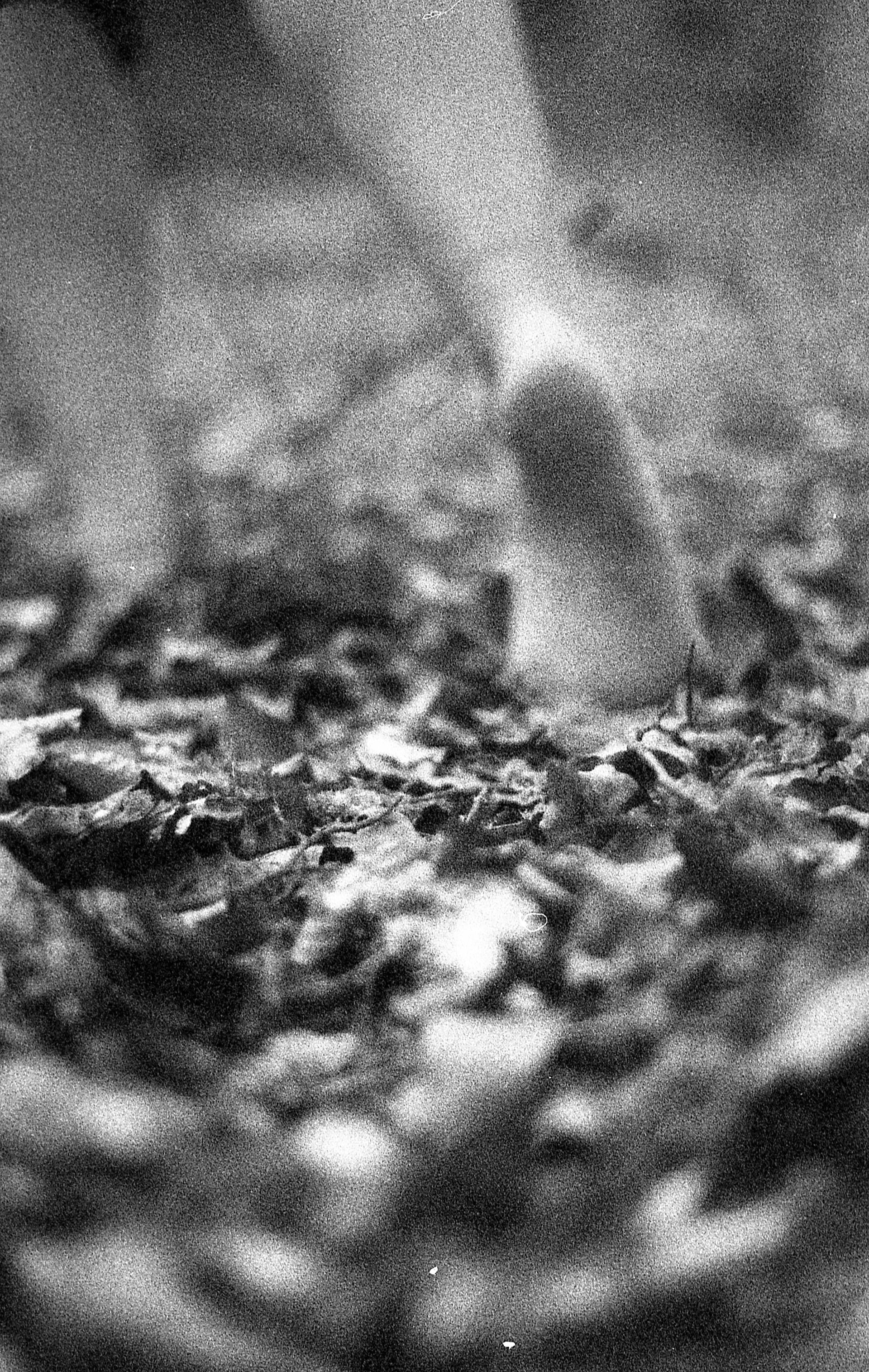 Scanjune014