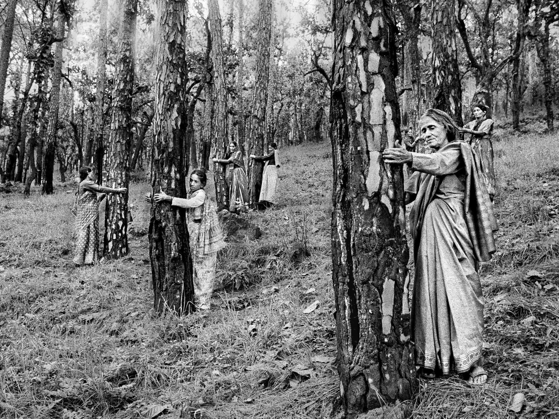 Pamela Singh Chipko Tree Huggers of the Himalayas 4 1994 lores