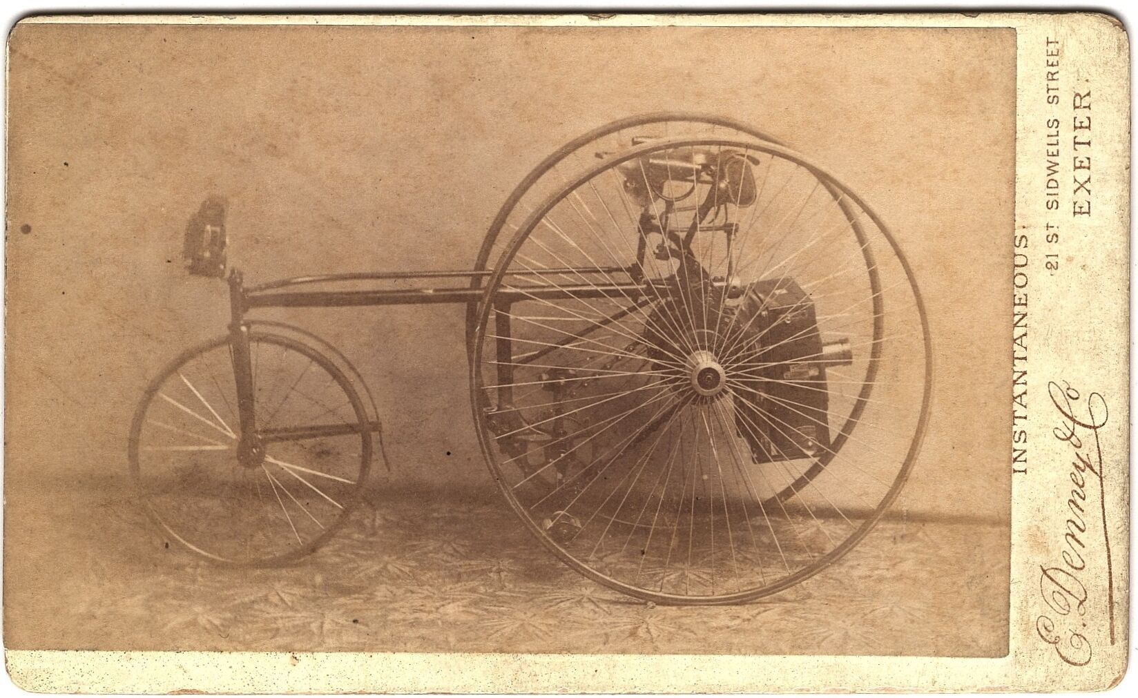 Figure 1 Sara Dominici