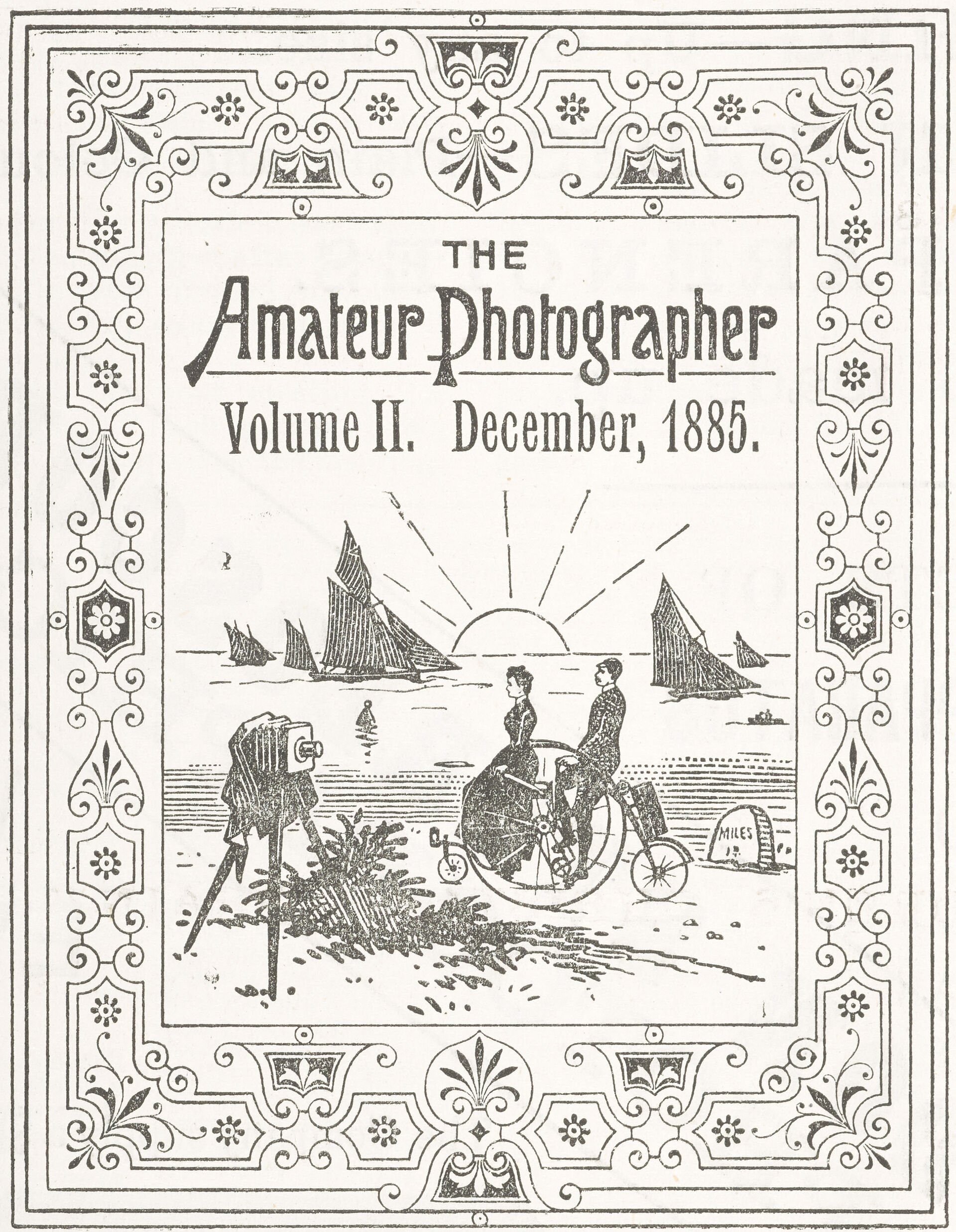 Figure 2 Sara Dominici