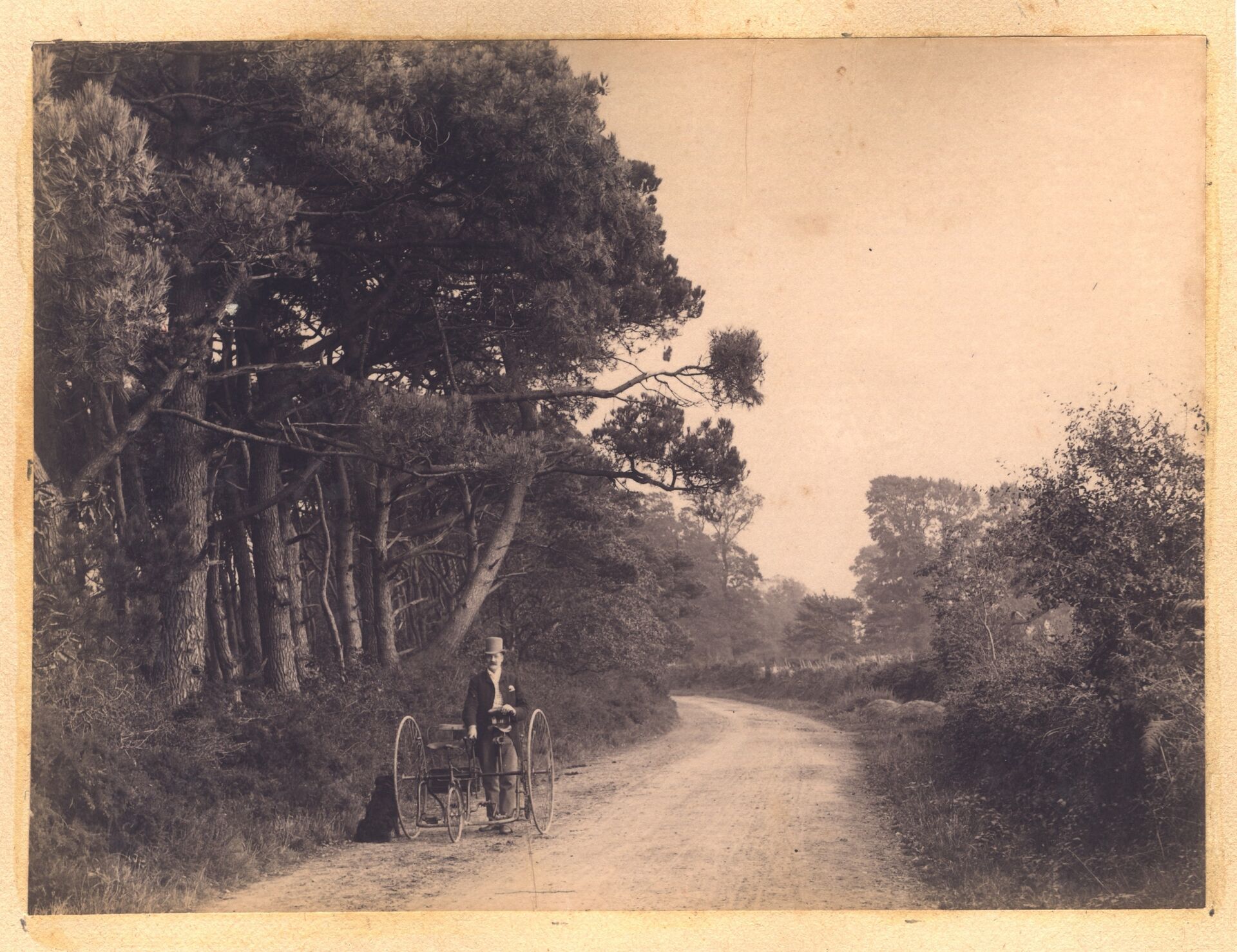 Figure 3 Sara Dominici