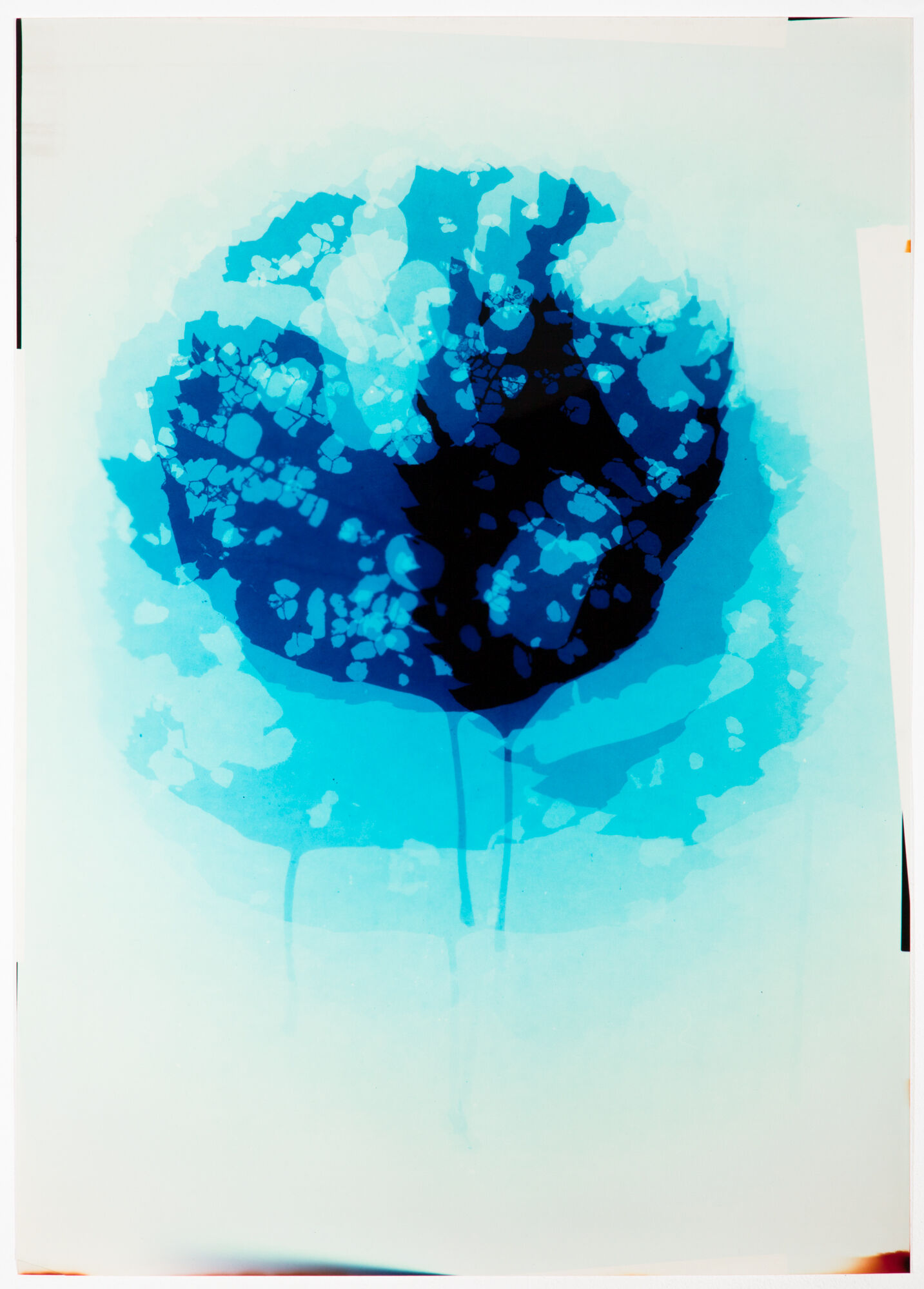 Kovacovsky MG 9161 Edit