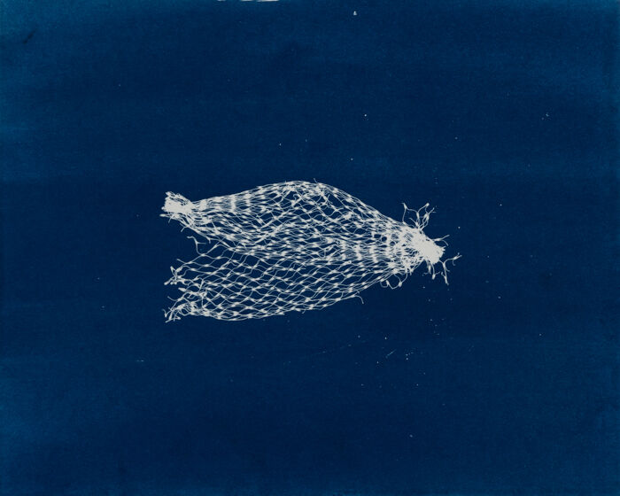 Bousema Future Relics 113 20 9 x 26