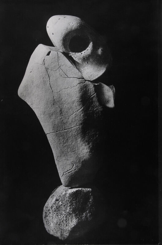 Dalmatie P 1970 0046 0003 Ubac