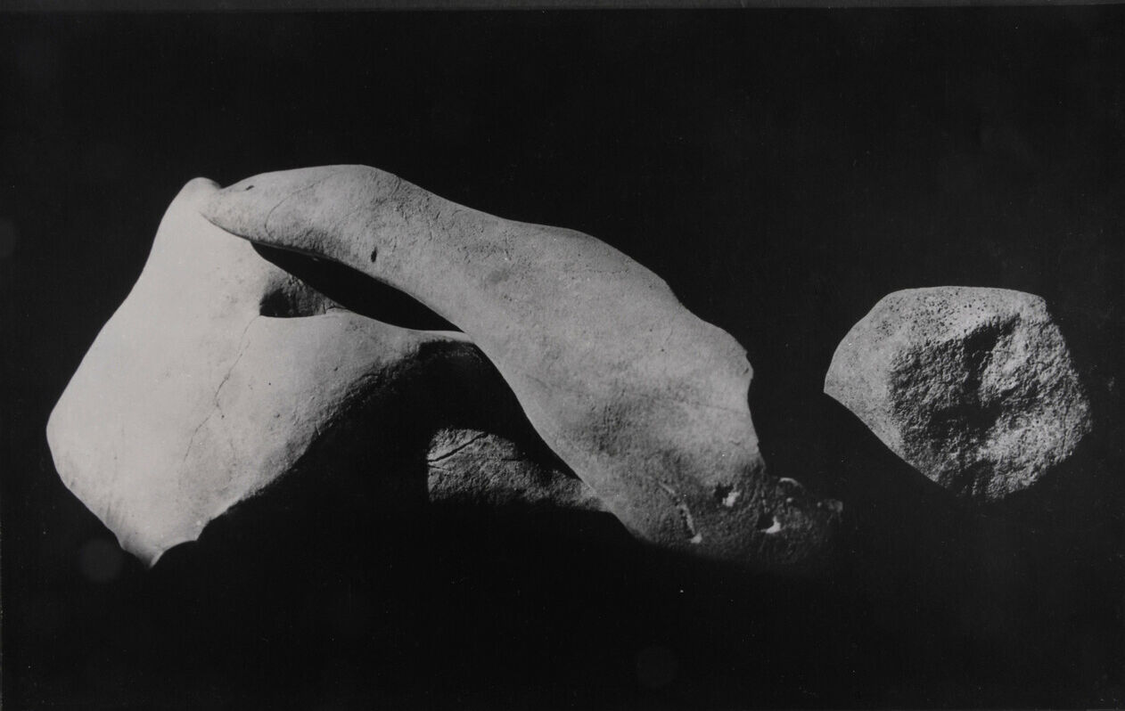 Dalmatie P 1970 0046 0005 Ubac