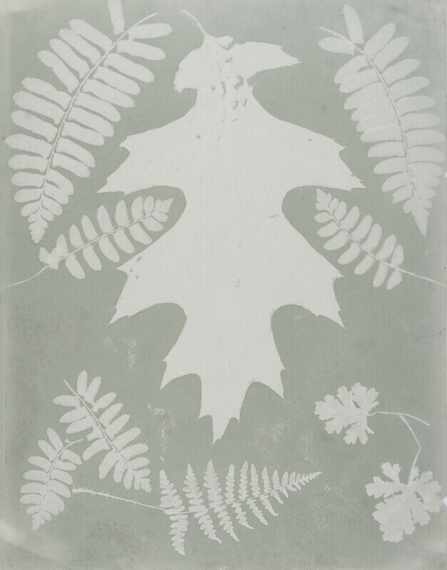 RS227243 2023 0037 R scr