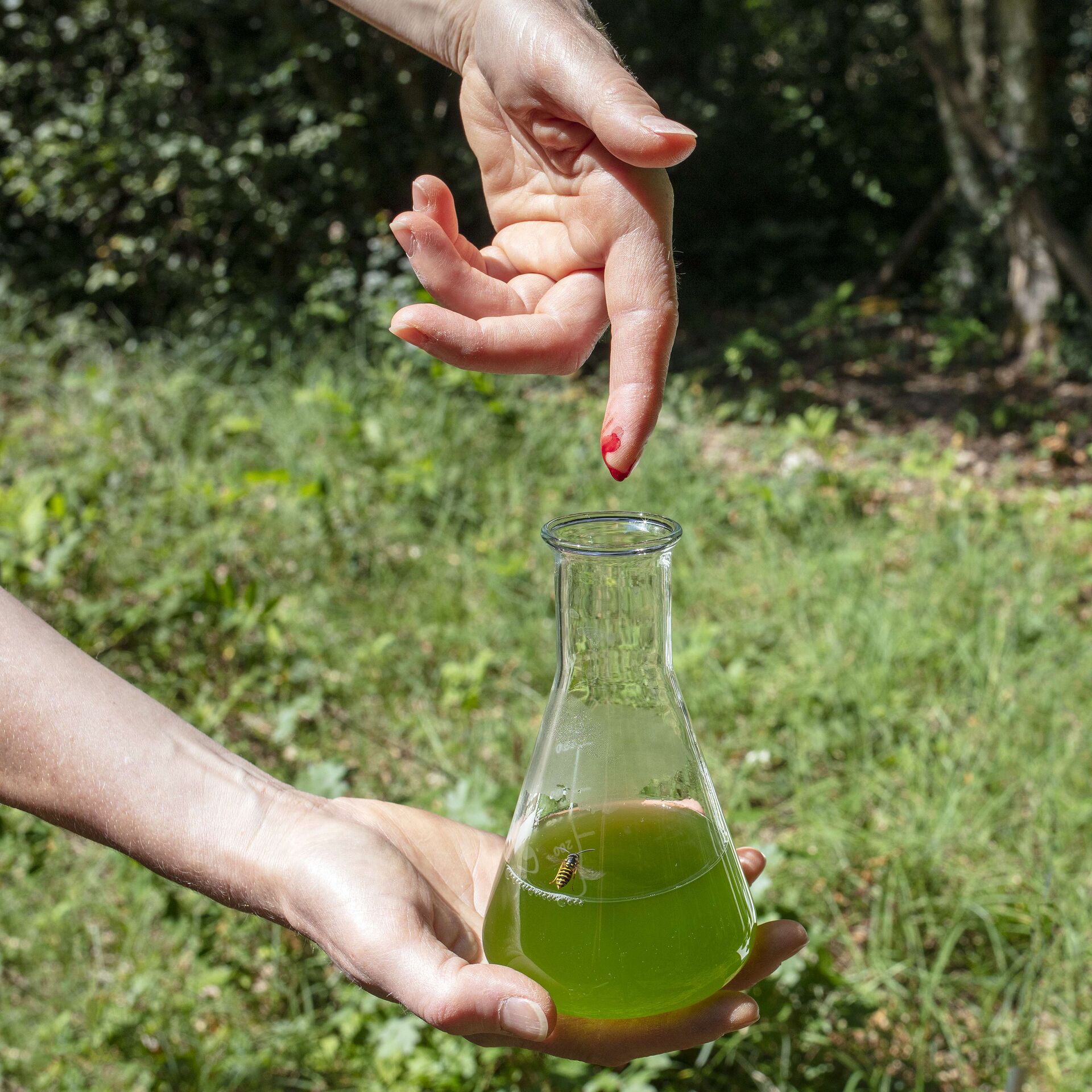 01 Risk Hazekamp Interdependency