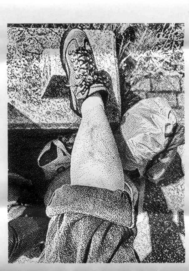 Slide into my D Ms 8