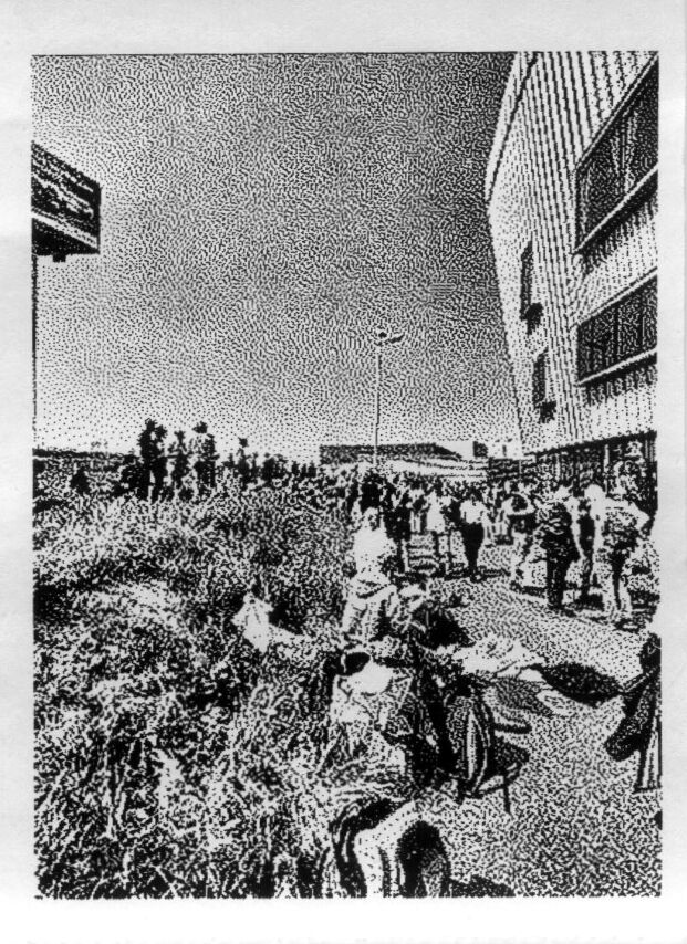 Slide into my D Ms 9