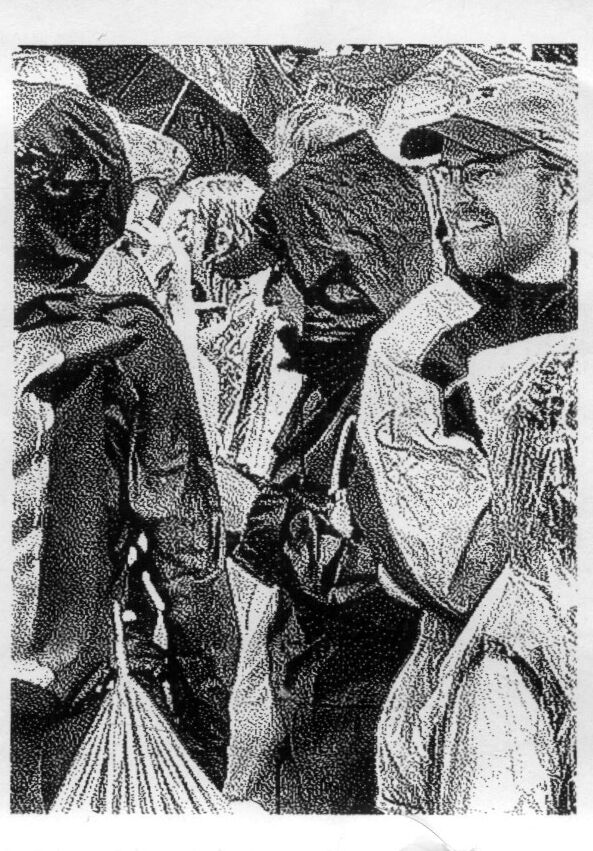 Slide into my D Ms 12