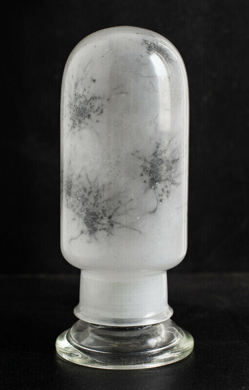 RS256931 2023 0049 Djinn Somers