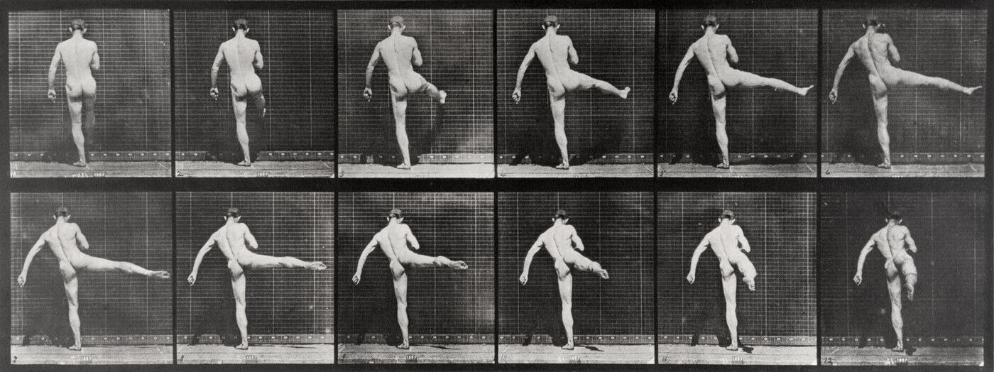 RS6694 P 1981 0394 0008 Muybridge Eadweard scr
