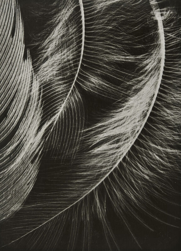 RS4017 P 1967 0066 0003 Berssenbrugge Henri scr