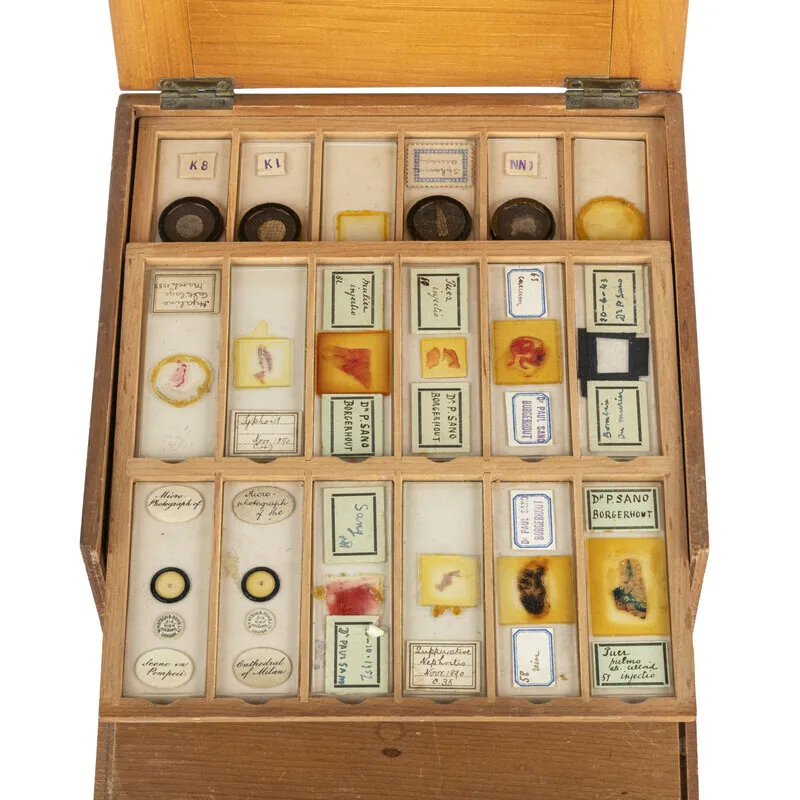 RS264235 2024 0006 0001 Sano preparaten