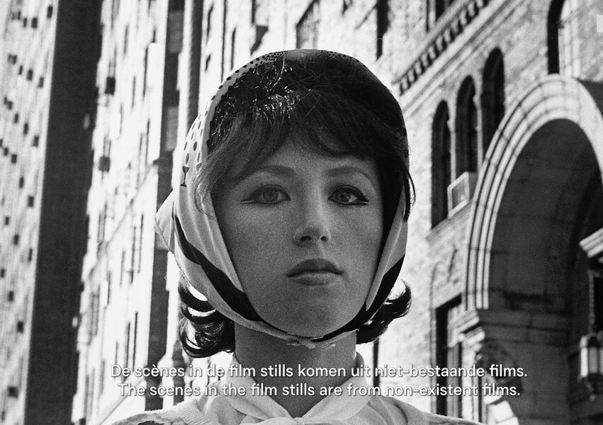 Still video Sherman 8