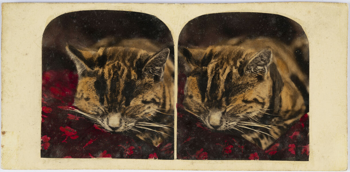 FOMU | FOMU Antwerp | Exhibitions | No Longer Not Yet