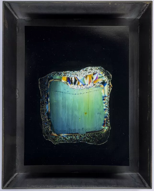 BK 9678 Winants TC Green