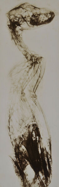 RS10643 P 2002 0311 Van Heurck Henri lpr