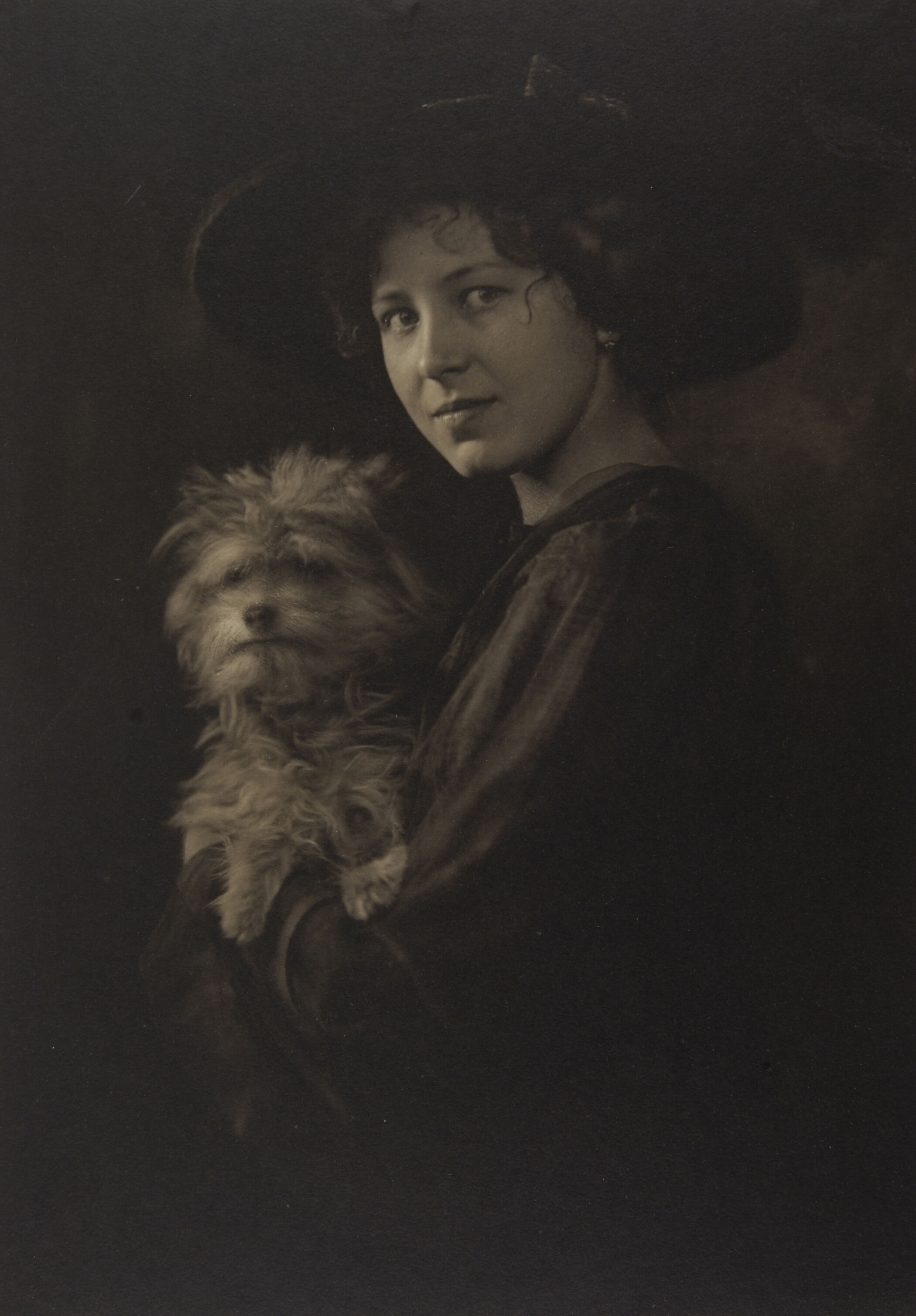 RS3335 P 1964 0084 Buyle Ferdinand