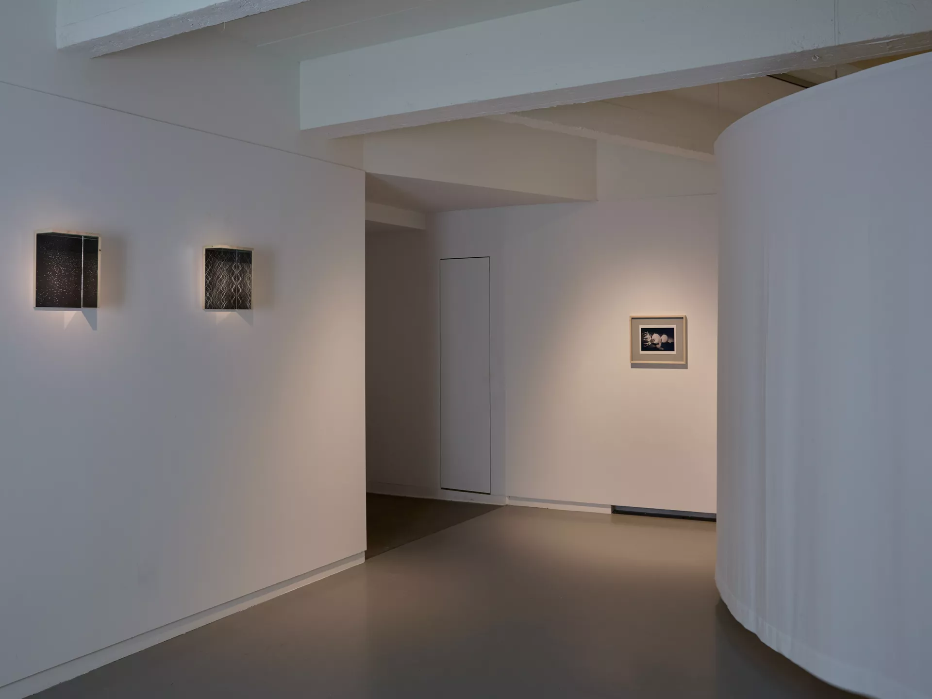 20250324 FOMU6269 web