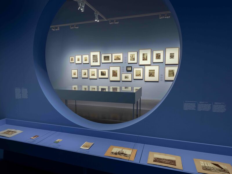 20251027 Early Gaze 638 Edit kopie