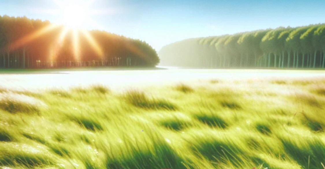 Landschap zonder mensen 3