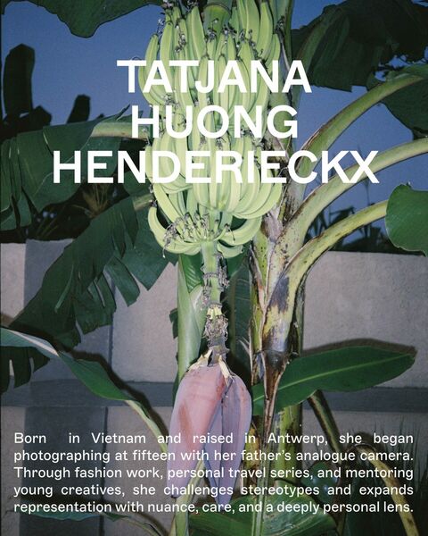 SOCIAL talents dive in5