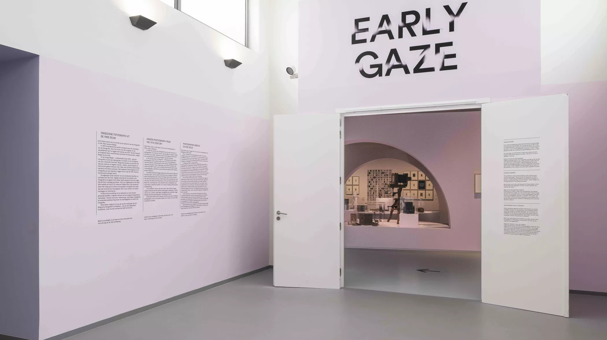 20251027 Early Gaze 504 Edit 1 kopie