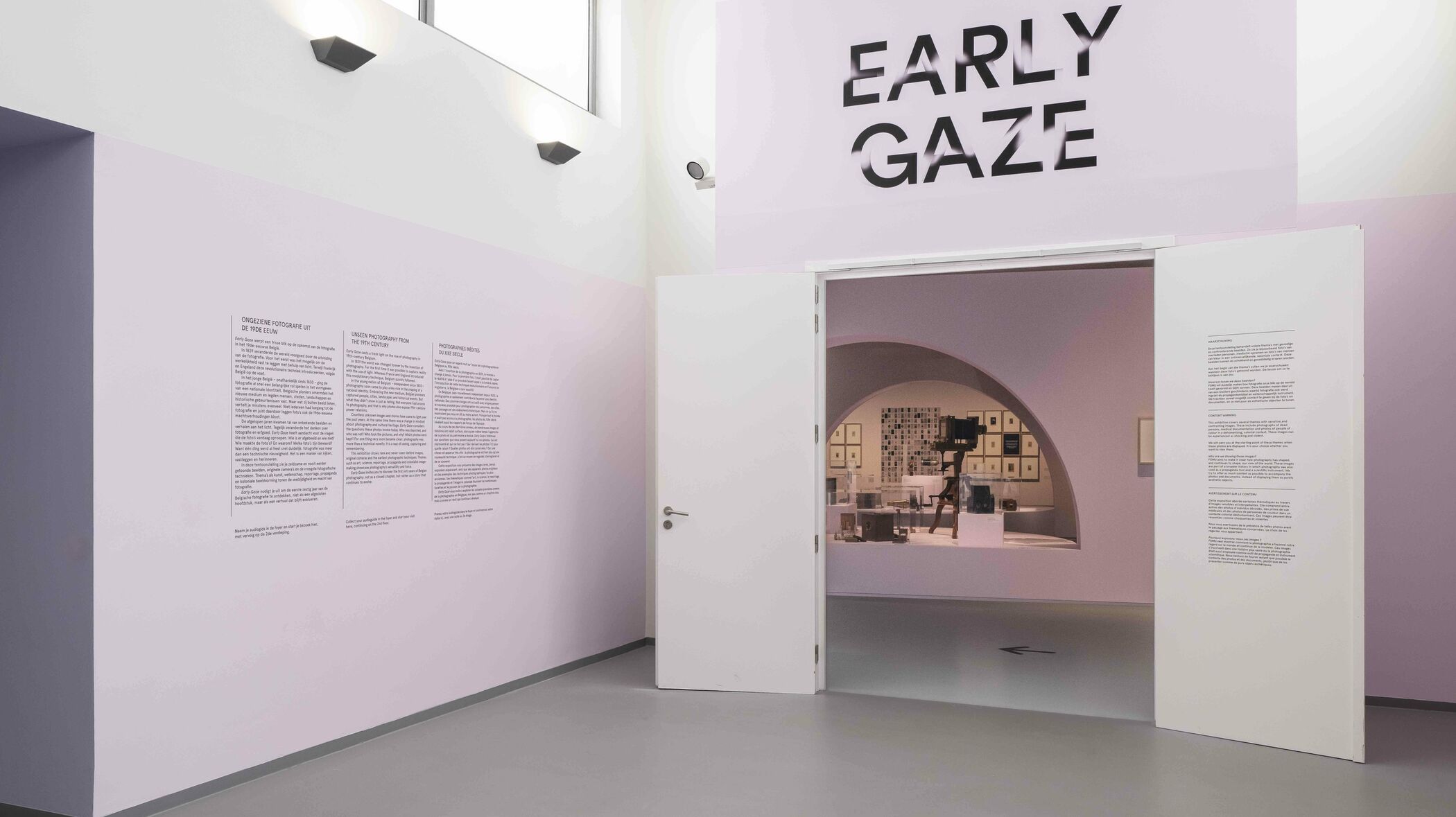 20251027 Early Gaze 504 Edit 1 kopie