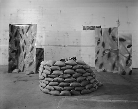 Lynne Cohen War Game