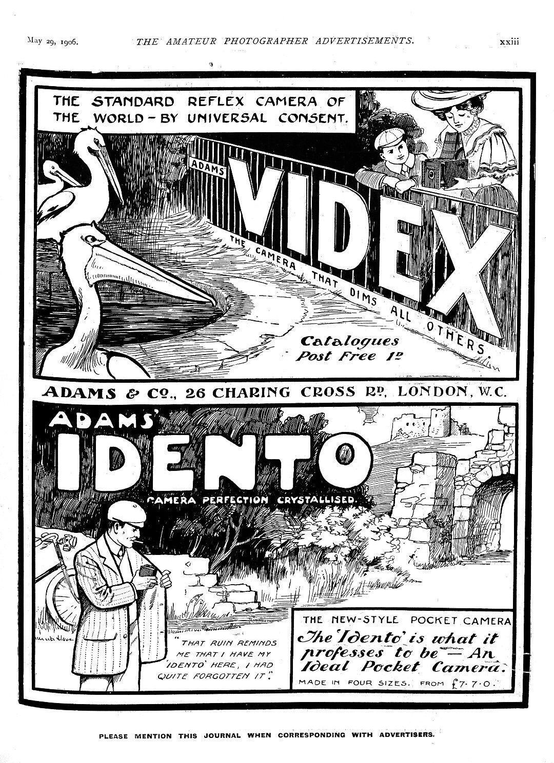 Figure 7 Sara Dominici