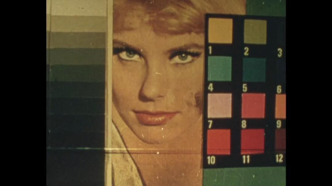 An van Dienderen Still Lili