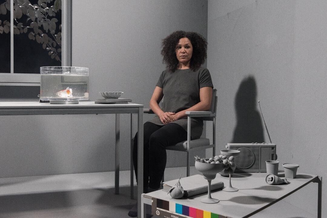 An van Dienderen Still Prism