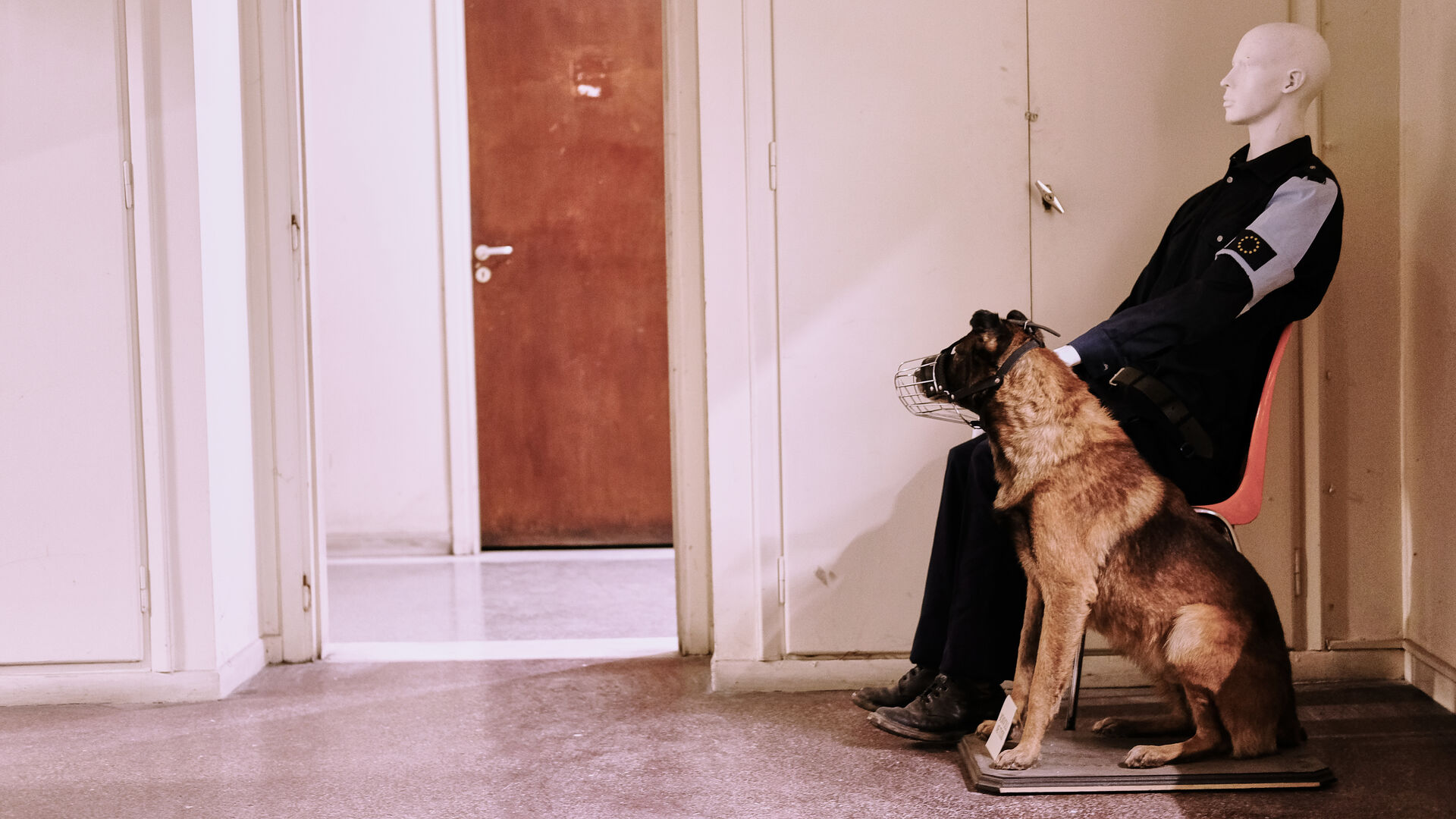 Domoc Christos Sarris