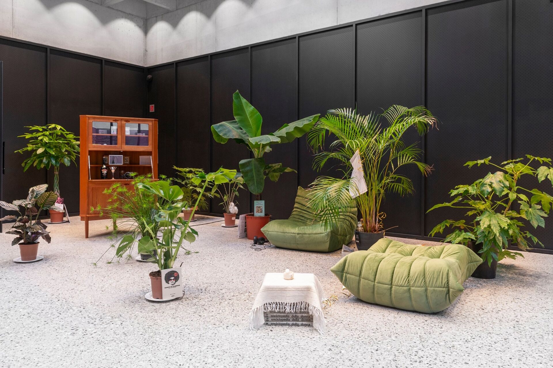 Installation view Lambchopsshouldnotbeovercooked Contour9 2019