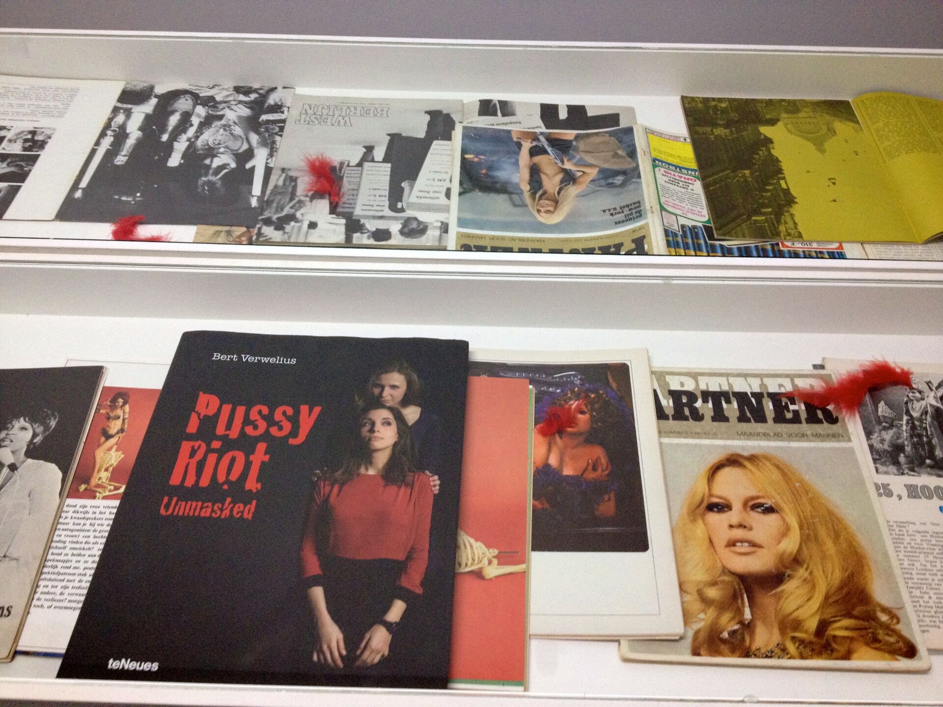 Installation view Great News Ivebeenvotedfelineoftheyear Wiels2015