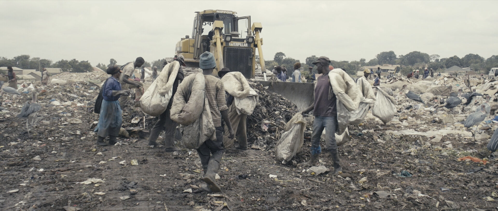 FUTURE SCENARIOS FILM STILL REPLACMENT 2