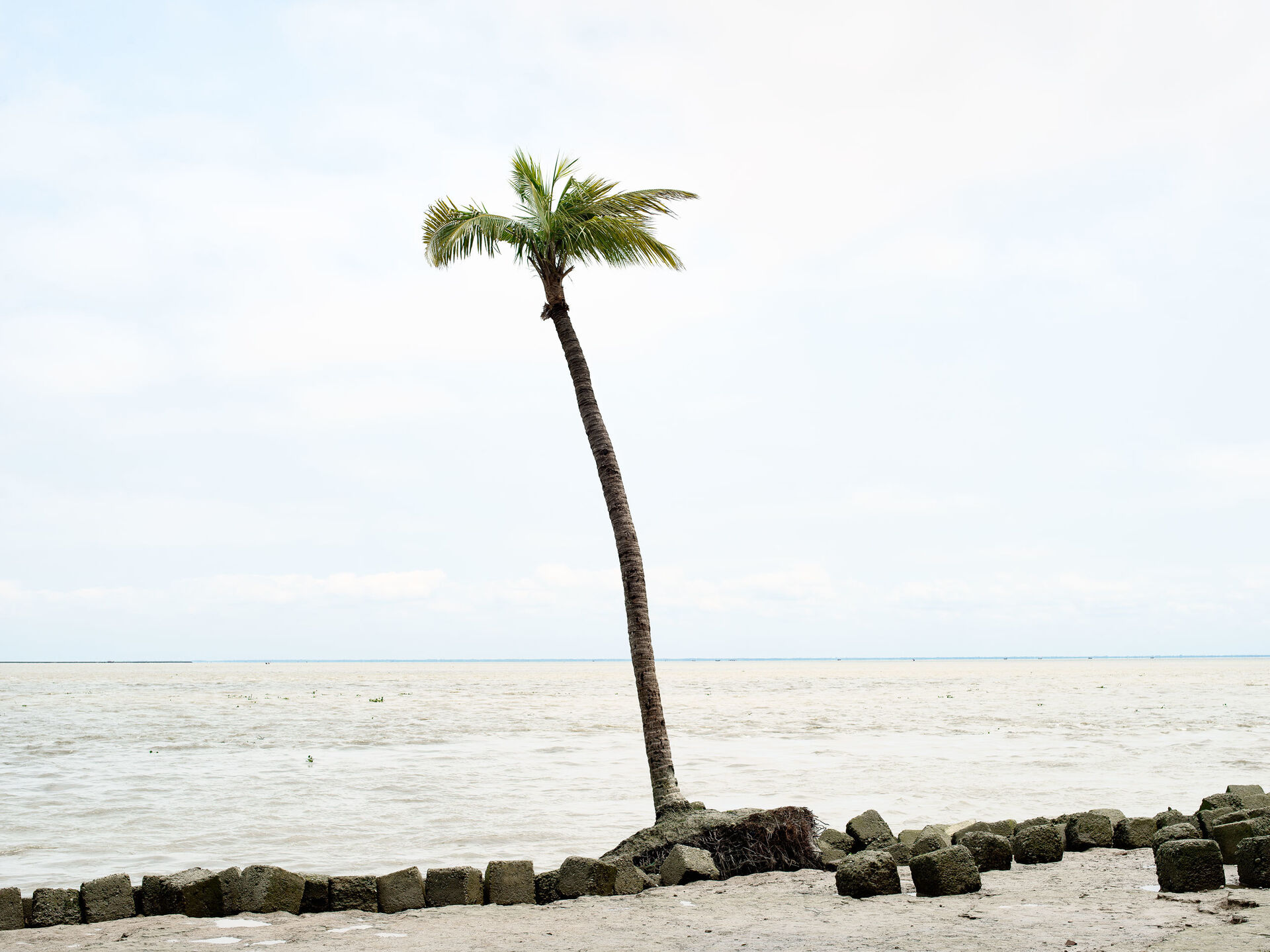 FUTURE SCENARIOS Lena Dobrowolska Teo Ormond Skeaping NEW PRINTS13 V2