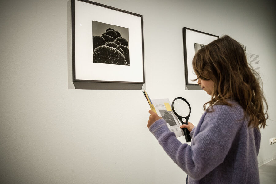 OP STAP IN HET FOMU LOW RES 35