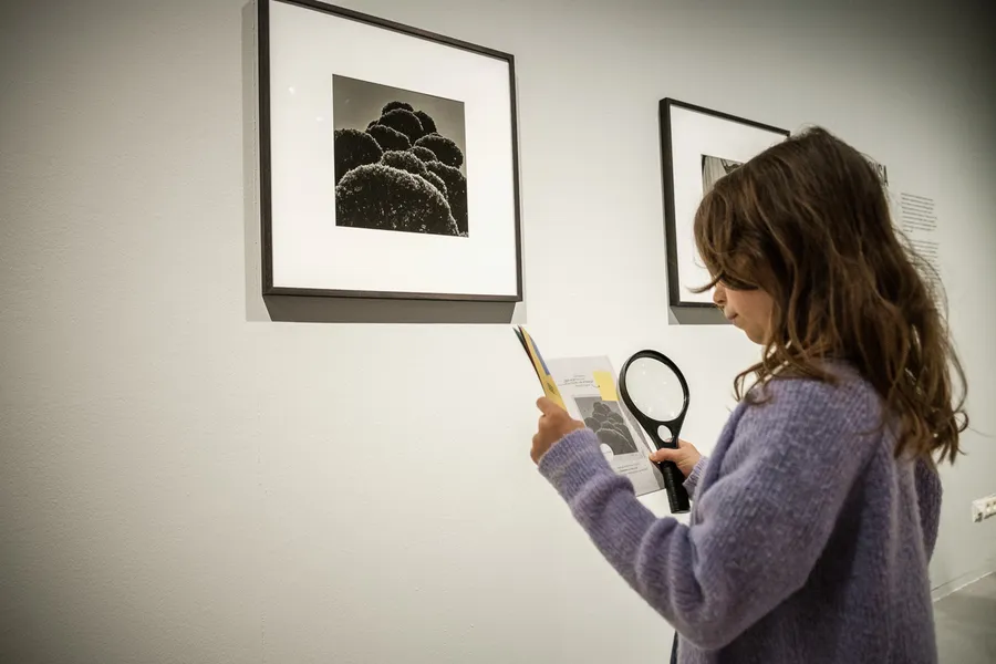 OP STAP IN HET FOMU LOW RES 35