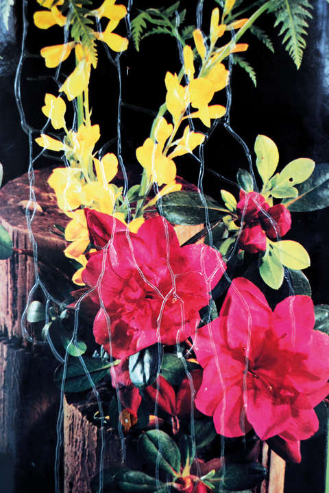 Sebastien Cuvelier Paradise City 01