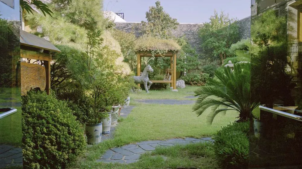 Photo Garden f87e01f343a695d8dd1073d9eaf7acf2